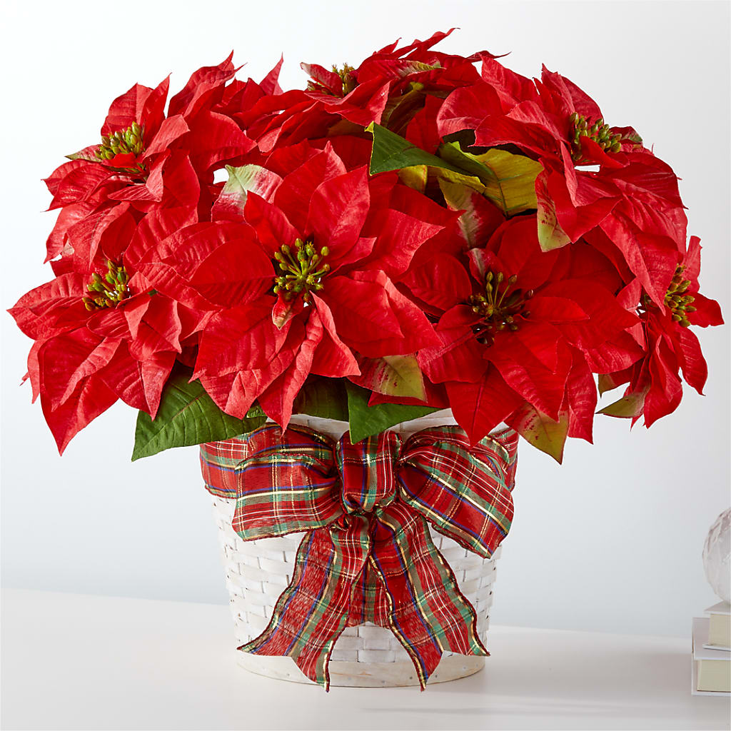 Happiest Holidays Poinsettia – SUNSHINE FLOWERS & GIFTS, Joaquin TX