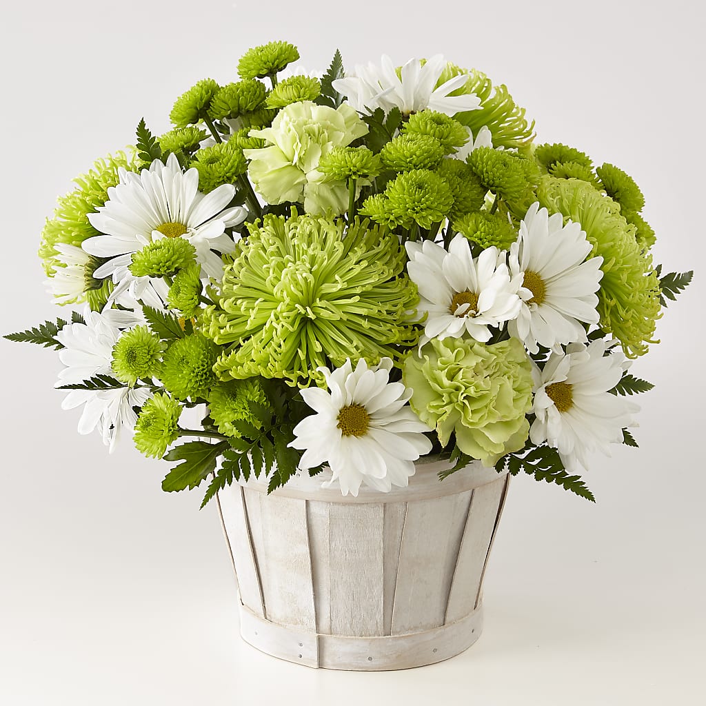 Lucky Charm Basket (Standard) – SUNSHINE FLOWERS & GIFTS, Joaquin TX
