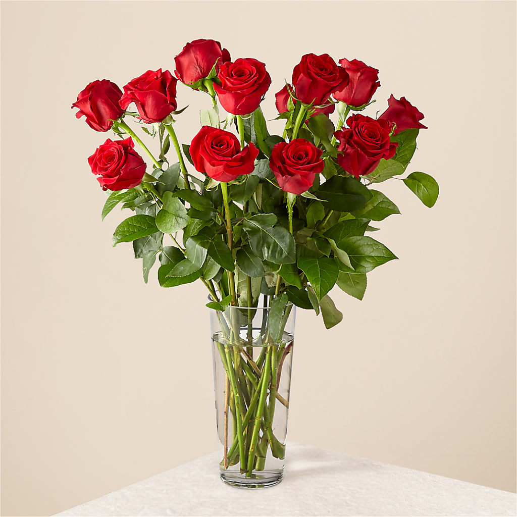 Long Stem Red Rose Bouquet – SUNSHINE FLOWERS & GIFTS, Joaquin TX