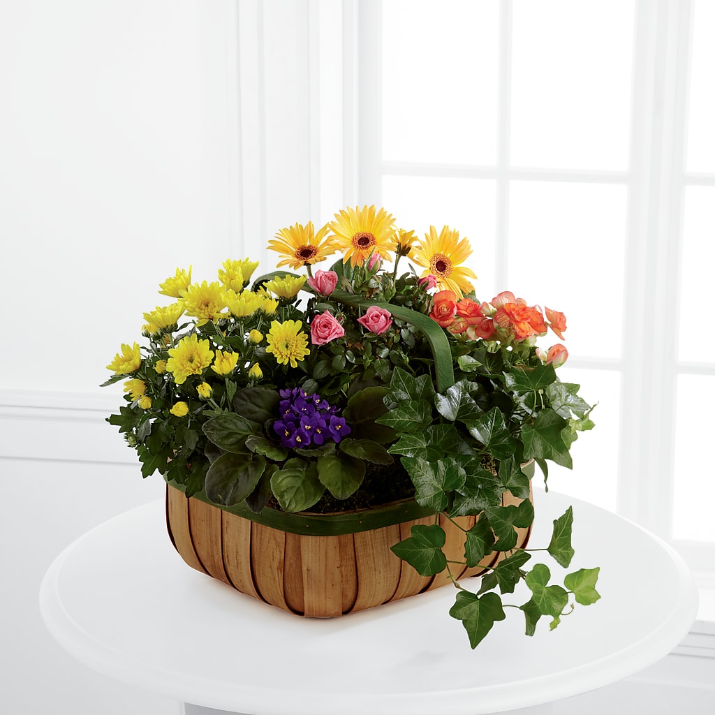 Gentle Blossoms Basket – SUNSHINE FLOWERS & GIFTS, Joaquin TX