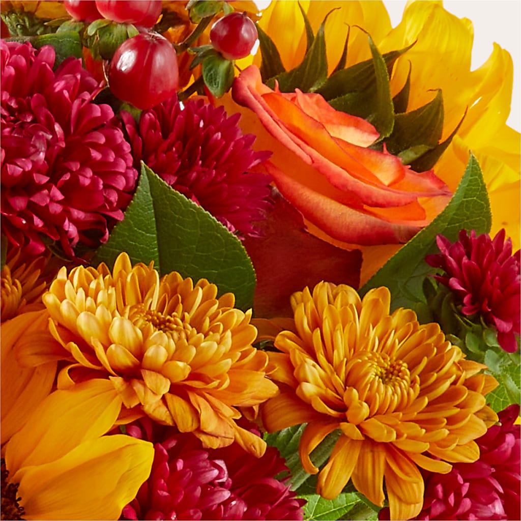Sweater Season - A Florist Original – SUNSHINE FLOWERS & GIFTS, Joaquin TX
