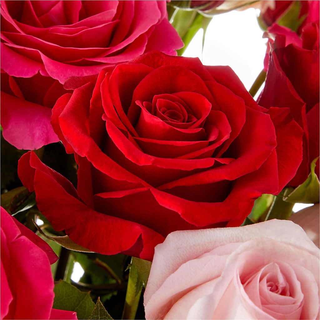 Love Notes Rose Bouquet – SUNSHINE FLOWERS & GIFTS, Joaquin TX