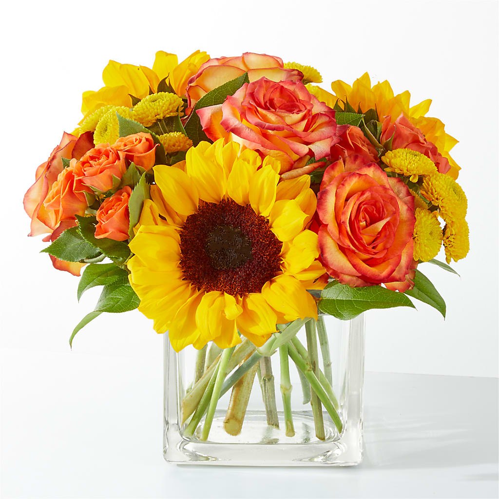 Picnic in the Park Bouquet – SUNSHINE FLOWERS & GIFTS, Joaquin TX