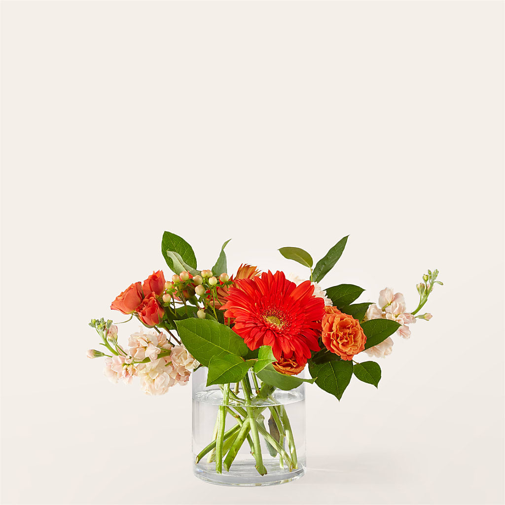 Paloma Please Bouquet – SUNSHINE FLOWERS & GIFTS, Joaquin TX