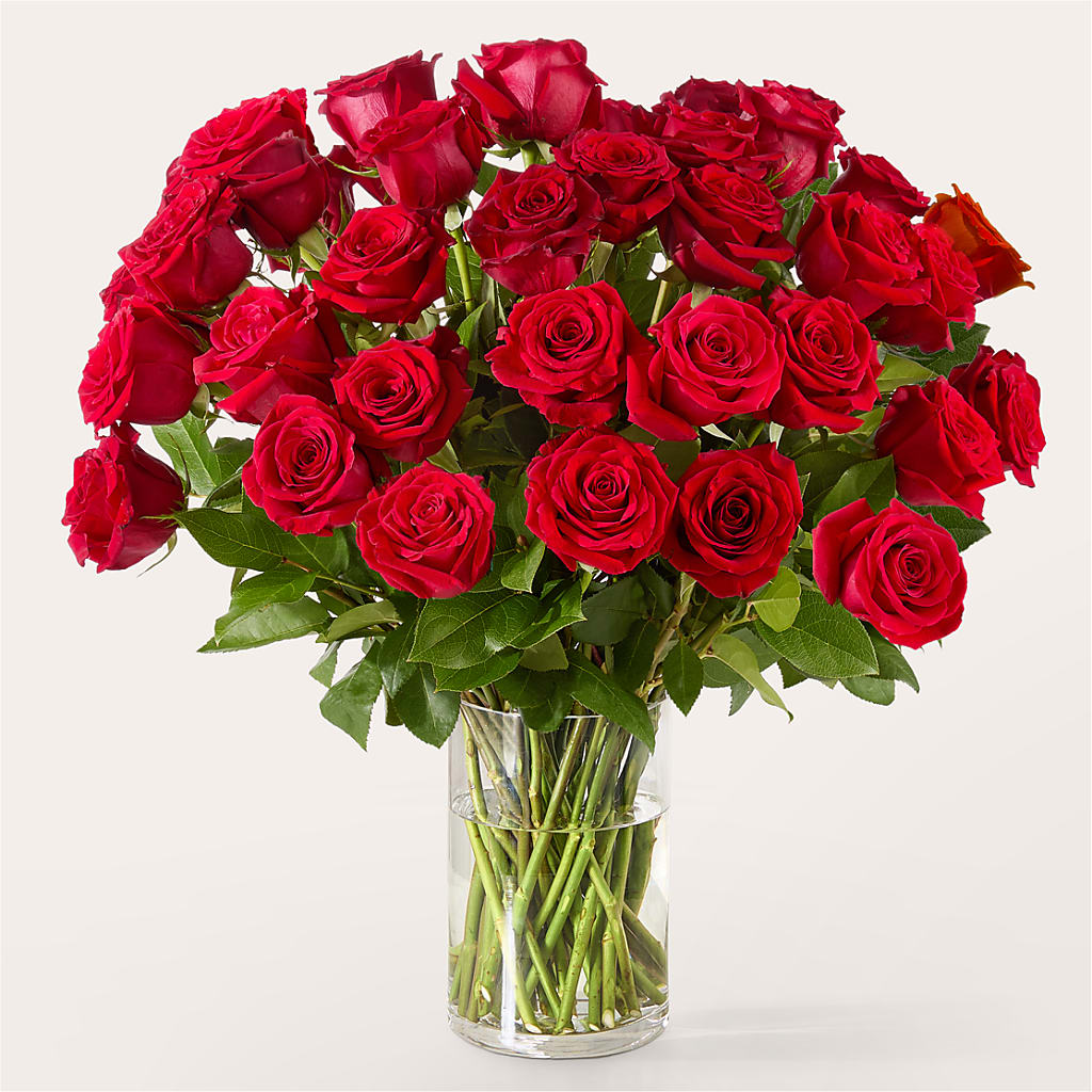 The One Red Rose Bouquet – SUNSHINE FLOWERS & GIFTS, Joaquin TX