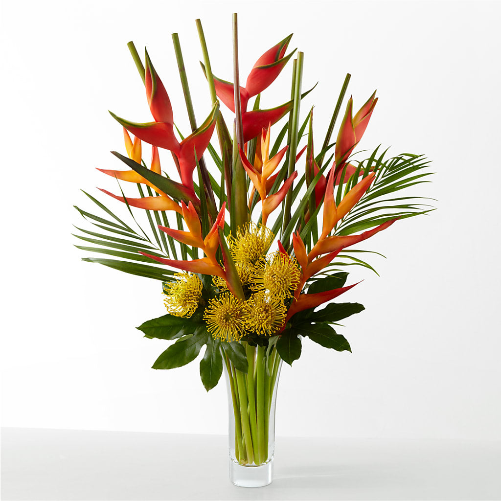 The Drama – SUNSHINE FLOWERS & GIFTS, Joaquin TX