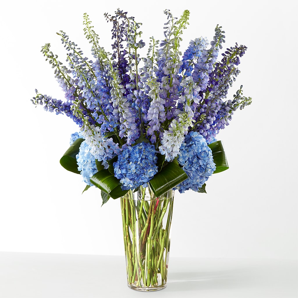 The Editorial – SUNSHINE FLOWERS & GIFTS, Joaquin TX