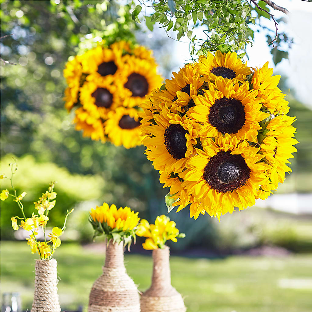 Sublime Garden Hanging Arrangement – SUNSHINE FLOWERS & GIFTS, Joaquin TX