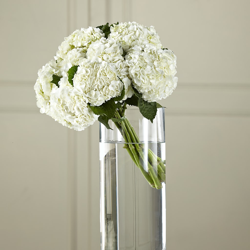 White Hydrangea Hand-Tied Bouquet – SUNSHINE FLOWERS & GIFTS, Joaquin TX