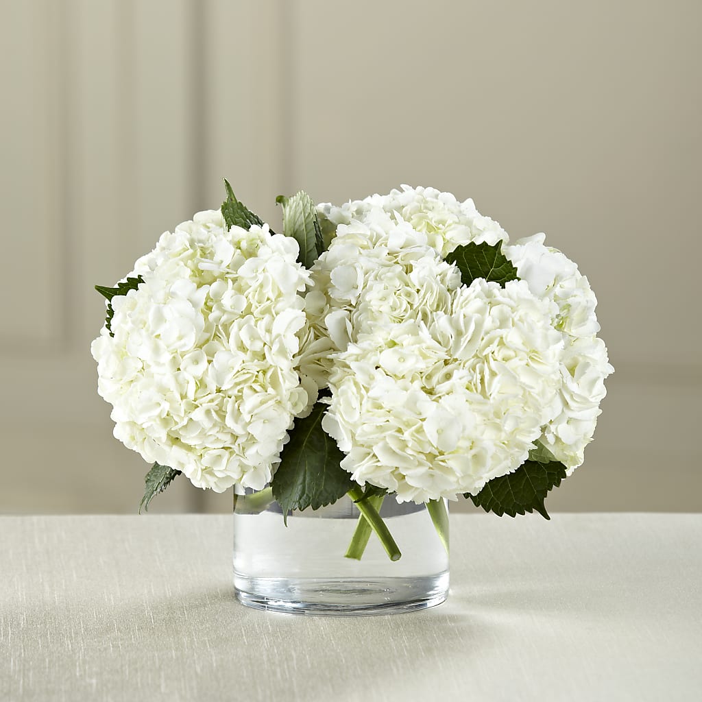 White Hydrangea Bouquet – SUNSHINE FLOWERS & GIFTS, Joaquin TX