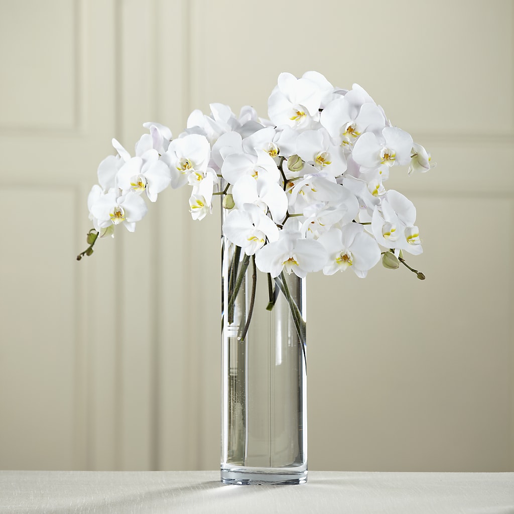 White Phalaenopsis Bouquet – SUNSHINE FLOWERS & GIFTS, Joaquin TX