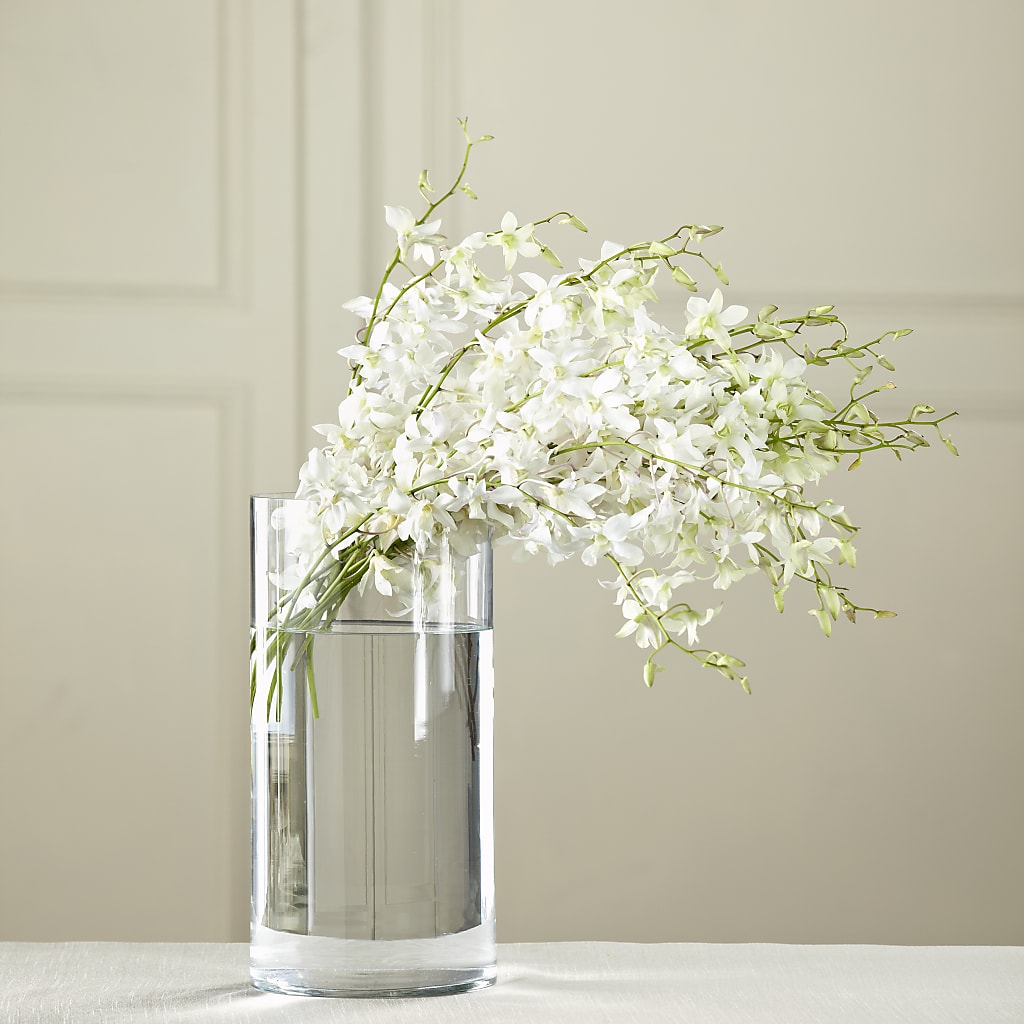 White Dendrobium Bouquet – SUNSHINE FLOWERS & GIFTS, Joaquin TX