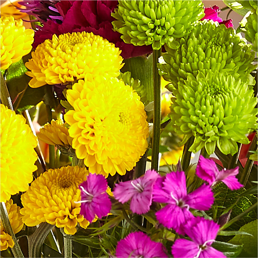 Bold & Bright – A Florist Original – SUNSHINE FLOWERS & GIFTS, Joaquin TX