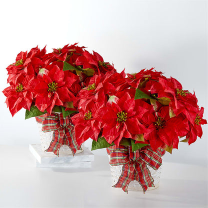 Happiest Holidays Poinsettia Bundle – SUNSHINE FLOWERS & GIFTS, Joaquin TX