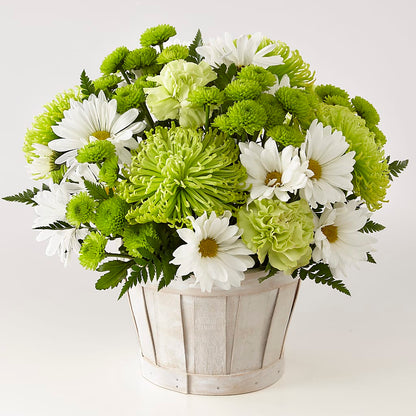 Lucky Charm Basket (Standard) – SUNSHINE FLOWERS & GIFTS, Joaquin TX