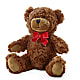 Adorable Plush Bear – SUNSHINE FLOWERS & GIFTS, Joaquin TX