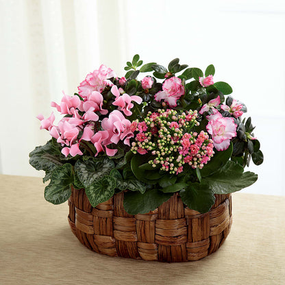 Pink Assortment – SUNSHINE FLOWERS & GIFTS, Joaquin TX