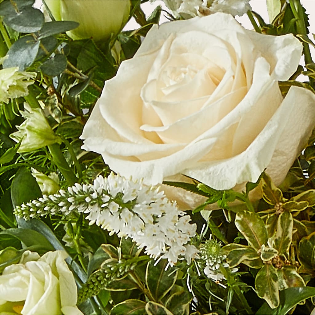 Cashmere Bouquet – SUNSHINE FLOWERS & GIFTS, Joaquin TX