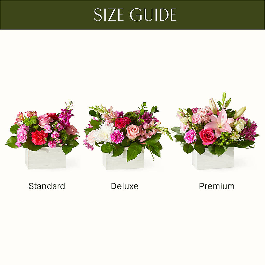 Sweetberry Box – A Florist Original – SUNSHINE FLOWERS & GIFTS, Joaquin TX