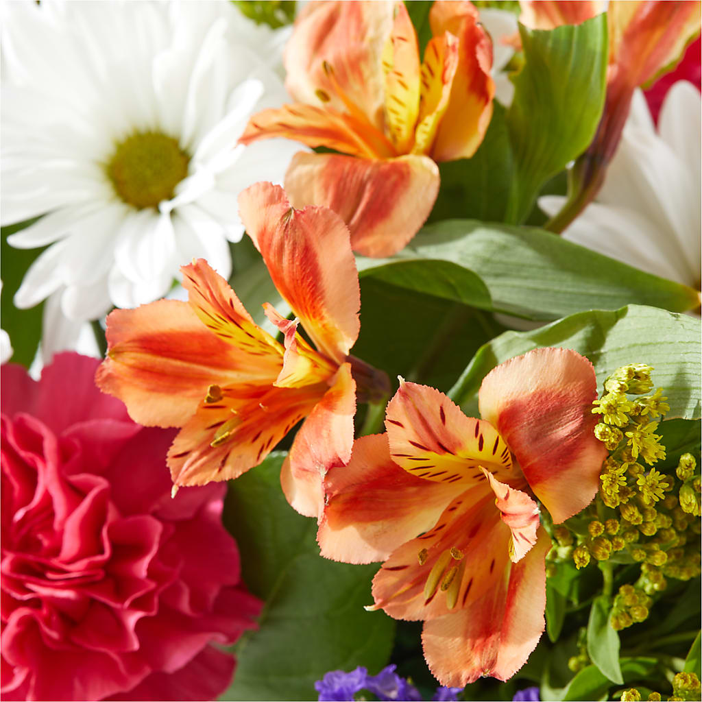 Oopsie Daisy Box Bouquet – SUNSHINE FLOWERS & GIFTS, Joaquin TX