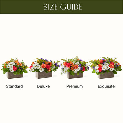 Oopsie Daisy Box Bouquet – SUNSHINE FLOWERS & GIFTS, Joaquin TX
