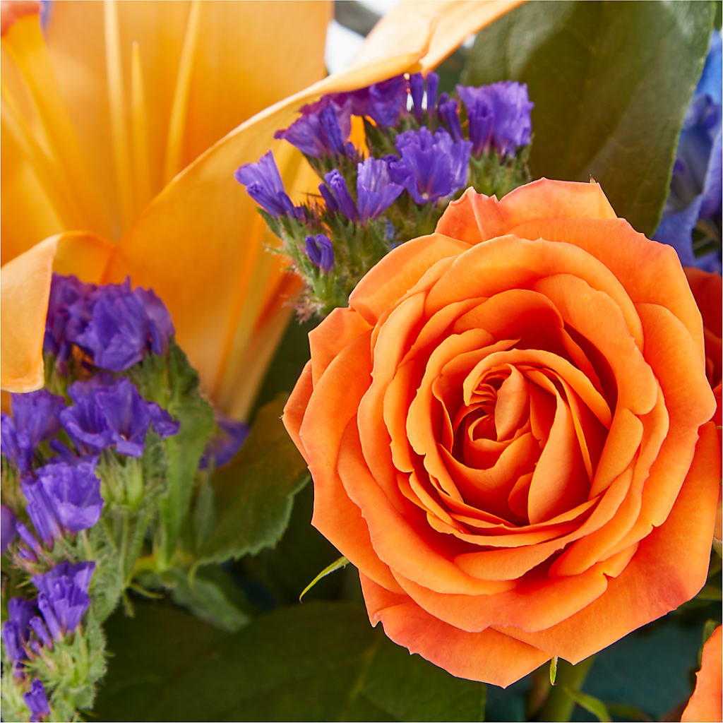 Radiant Citrus Box Bouquet – SUNSHINE FLOWERS & GIFTS, Joaquin TX