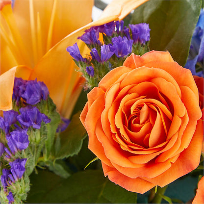 Radiant Citrus Box Bouquet – SUNSHINE FLOWERS & GIFTS, Joaquin TX