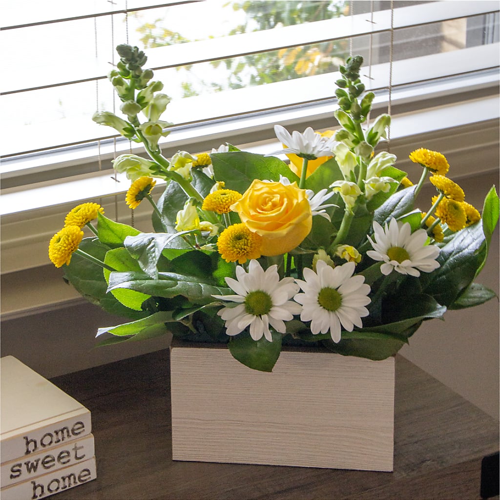 Sun Salutation Box Bouquet – SUNSHINE FLOWERS & GIFTS, Joaquin TX