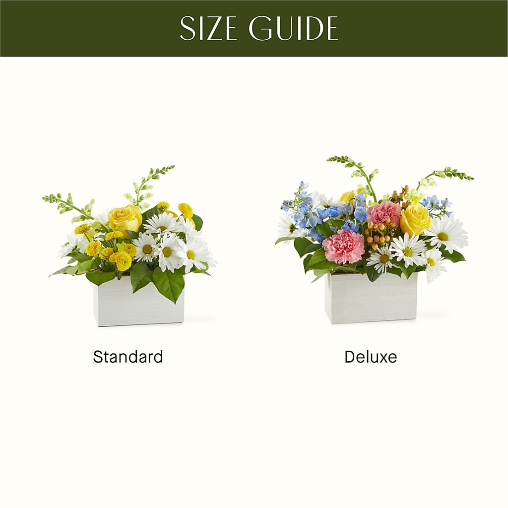 Sun Salutation Box Bouquet – SUNSHINE FLOWERS & GIFTS, Joaquin TX