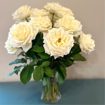 Long Stem Yellow Rose Bouquet – SUNSHINE FLOWERS & GIFTS, Joaquin TX