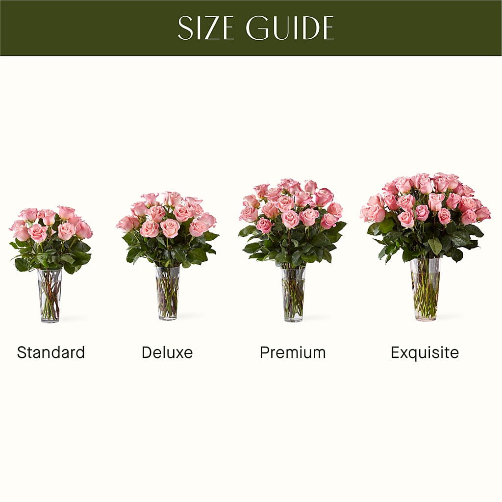 Long Stem Pink Rose Bouquet – SUNSHINE FLOWERS & GIFTS, Joaquin TX
