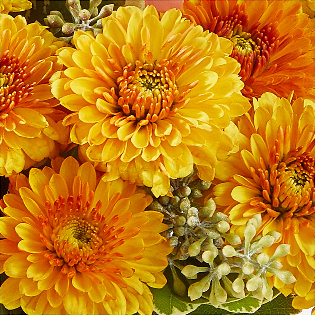 Peachy Pumpkin – SUNSHINE FLOWERS & GIFTS, Joaquin TX