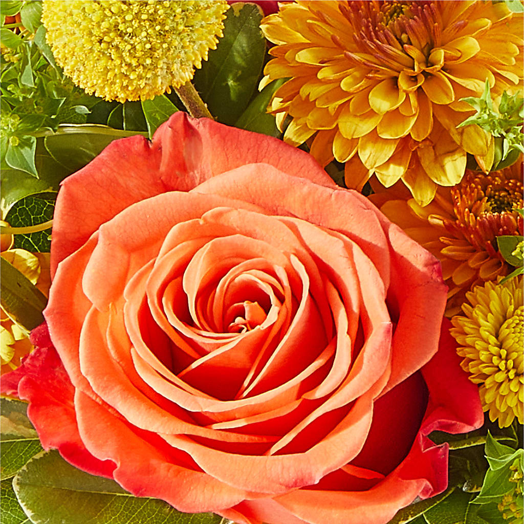 Gourdgeous Pumpkin – SUNSHINE FLOWERS & GIFTS, Joaquin TX