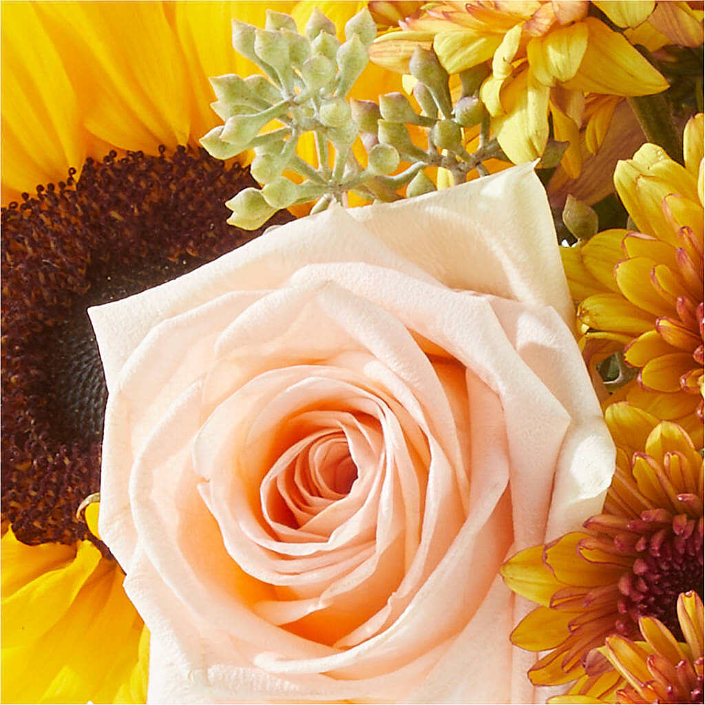 Pumpkin to Talk About Bouquet – SUNSHINE FLOWERS & GIFTS, Joaquin TX