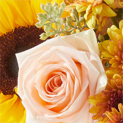 Pumpkin to Talk About Bouquet – SUNSHINE FLOWERS & GIFTS, Joaquin TX