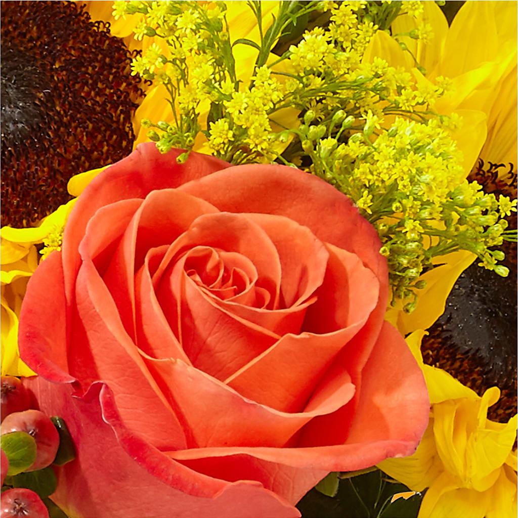 Pick of the Patch Pumpkin Bouquet – SUNSHINE FLOWERS & GIFTS, Joaquin TX