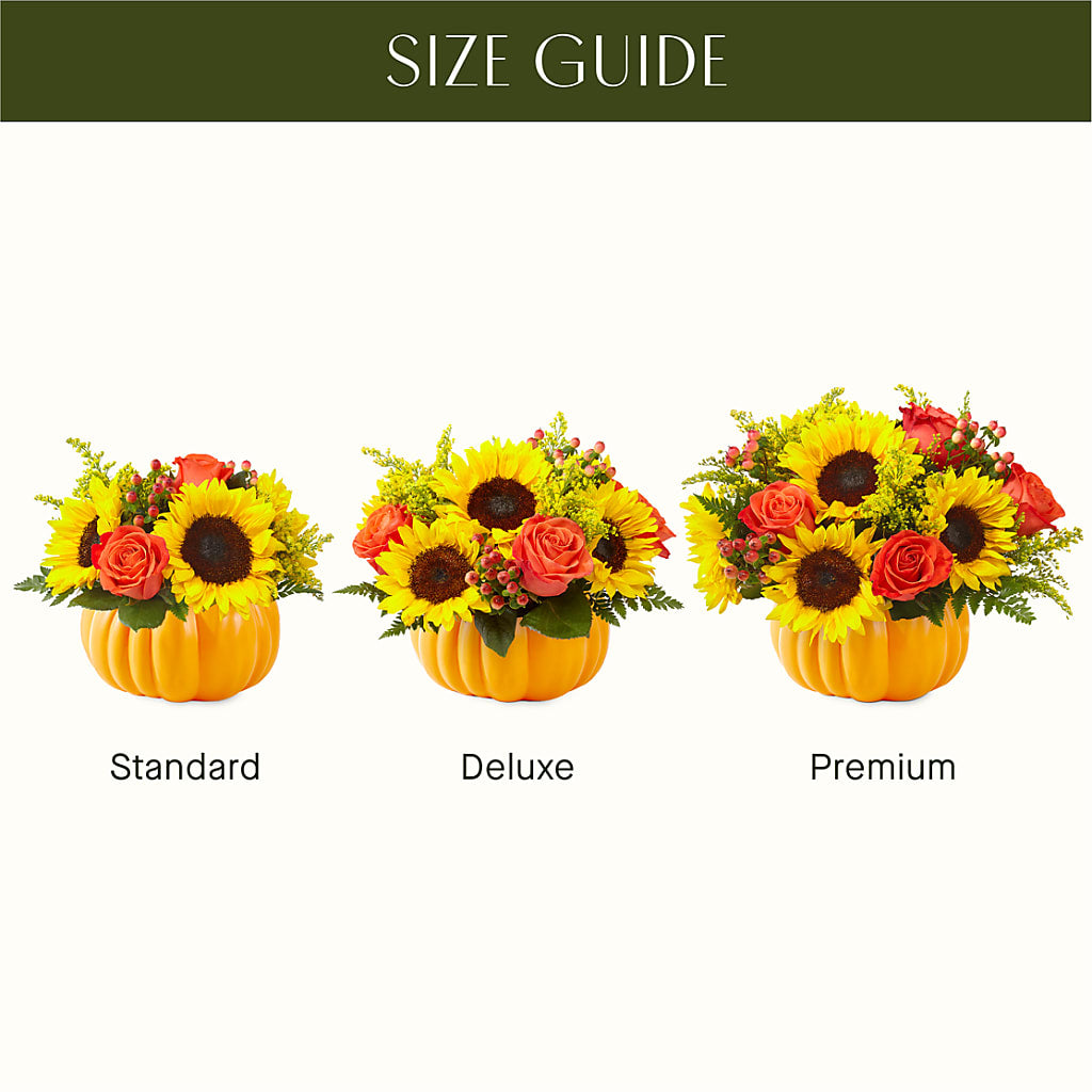 Pick of the Patch Pumpkin Bouquet – SUNSHINE FLOWERS & GIFTS, Joaquin TX