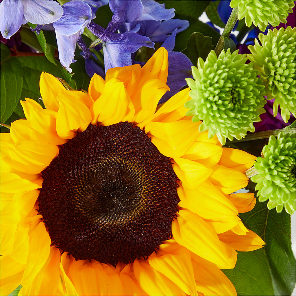 Catching Rays Bouquet – SUNSHINE FLOWERS & GIFTS, Joaquin TX