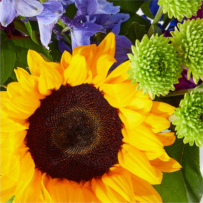Catching Rays Bouquet – SUNSHINE FLOWERS & GIFTS, Joaquin TX