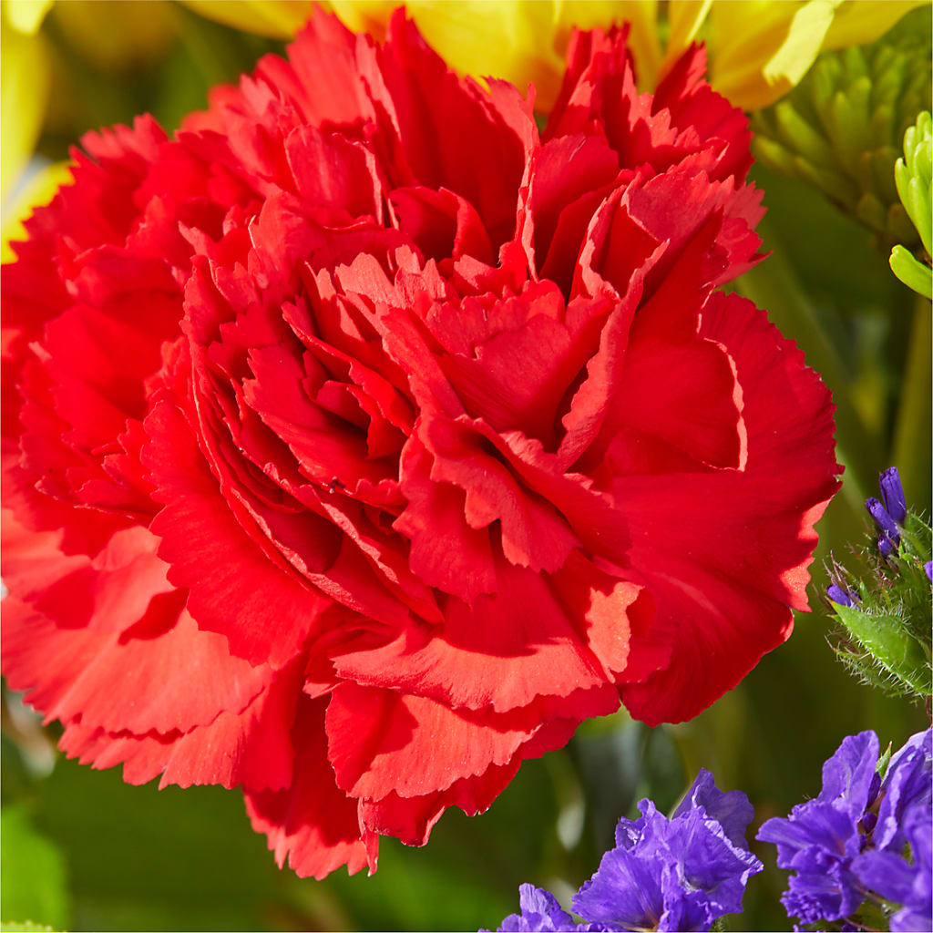 Brighter Days Bouquet – SUNSHINE FLOWERS & GIFTS, Joaquin TX
