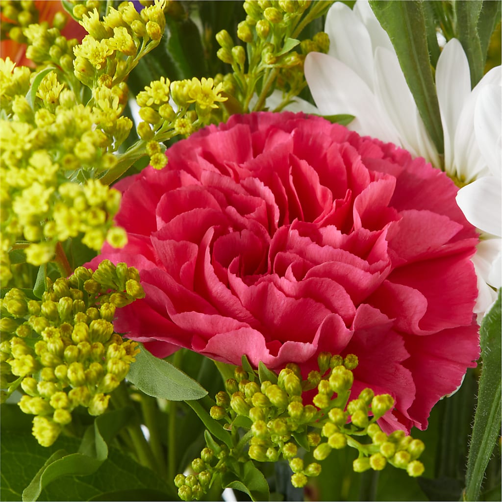 Oopsie Daisy Bouquet – SUNSHINE FLOWERS & GIFTS, Joaquin TX