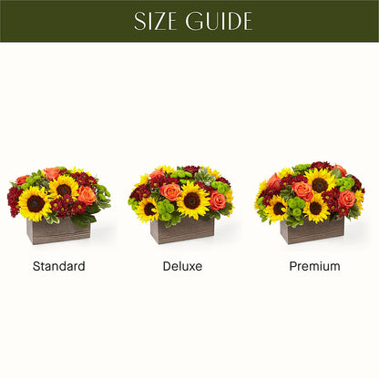 Happy Harvest Garden – SUNSHINE FLOWERS & GIFTS, Joaquin TX