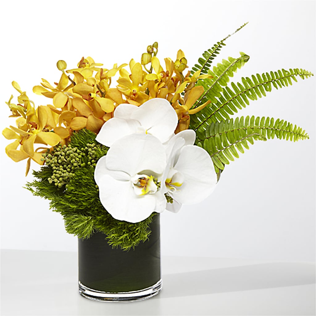 The Tropics – SUNSHINE FLOWERS & GIFTS, Joaquin TX