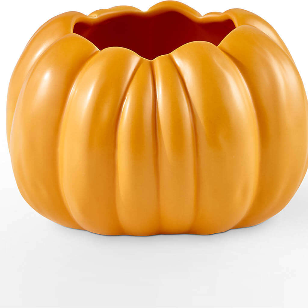 Golden Gourd Pumpkin Bouquet – SUNSHINE FLOWERS & GIFTS, Joaquin TX