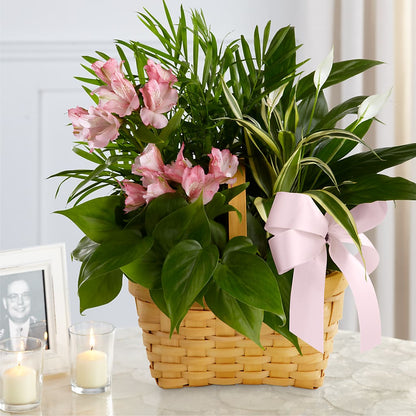 Living Spirit Dishgarden – SUNSHINE FLOWERS & GIFTS, Joaquin TX