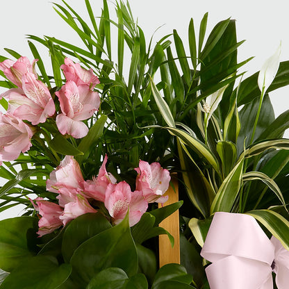 Living Spirit Dishgarden – SUNSHINE FLOWERS & GIFTS, Joaquin TX