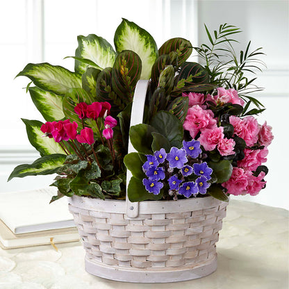 Peaceful Garden Planter – SUNSHINE FLOWERS & GIFTS, Joaquin TX