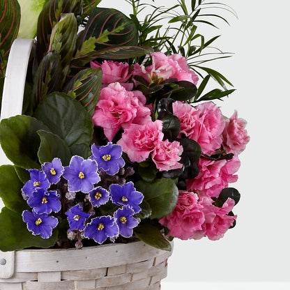 Peaceful Garden Planter – SUNSHINE FLOWERS & GIFTS, Joaquin TX