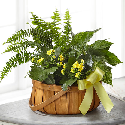 Always Dear Dishgarden – SUNSHINE FLOWERS & GIFTS, Joaquin TX