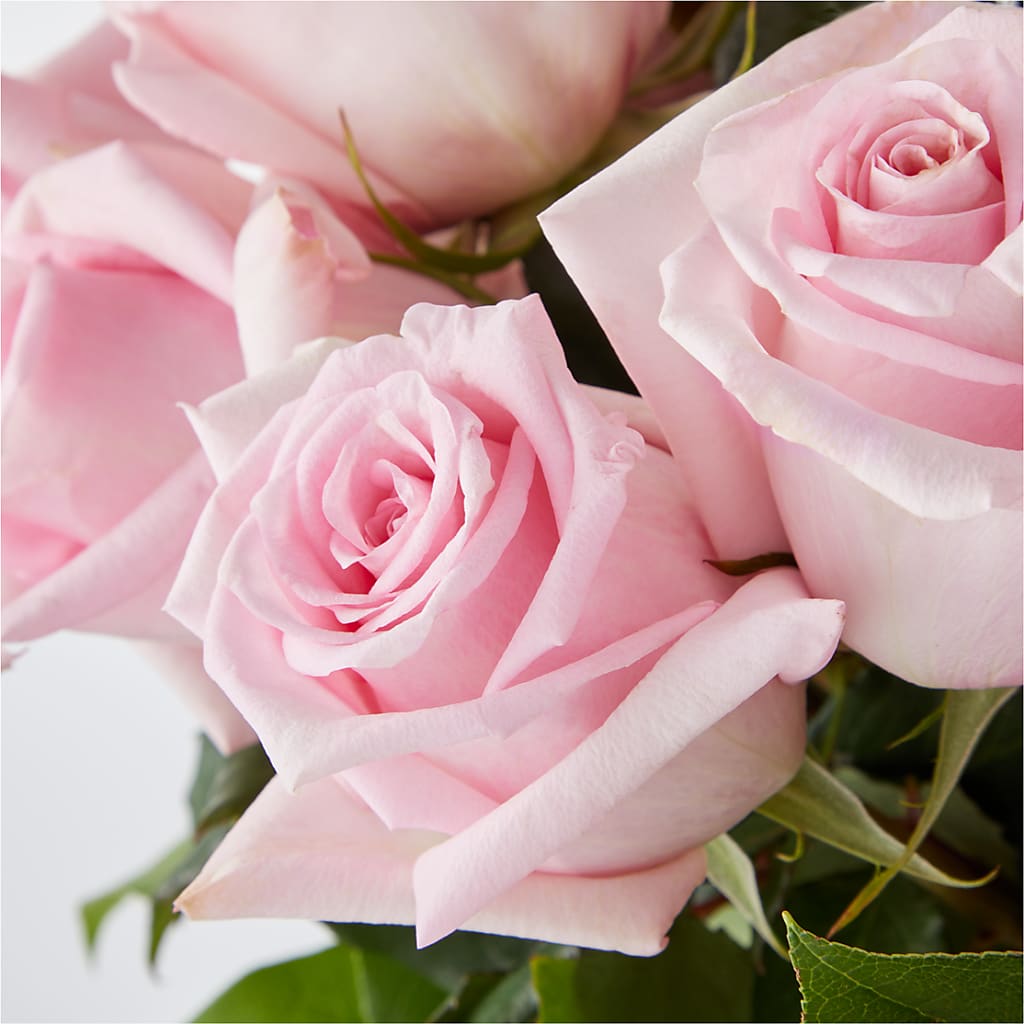 Picture Perfect Pink Rose Bouquet – SUNSHINE FLOWERS & GIFTS, Joaquin TX